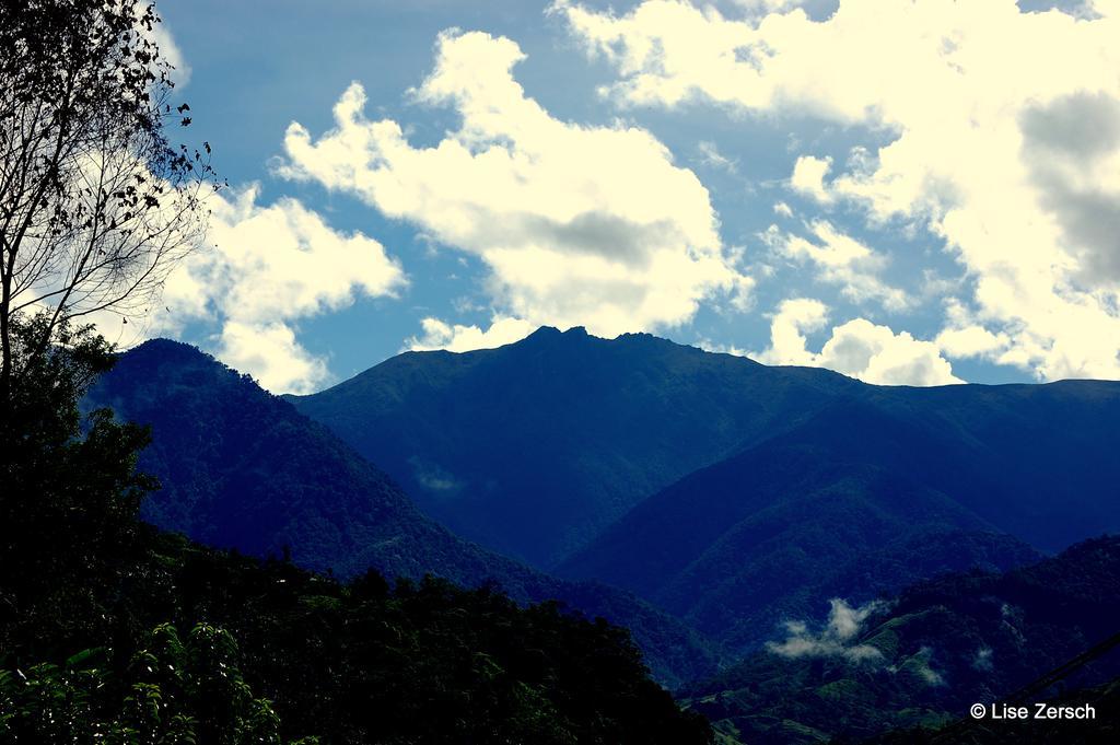 Bosque Del Tolomuco Hotel La Ese Buitenkant foto