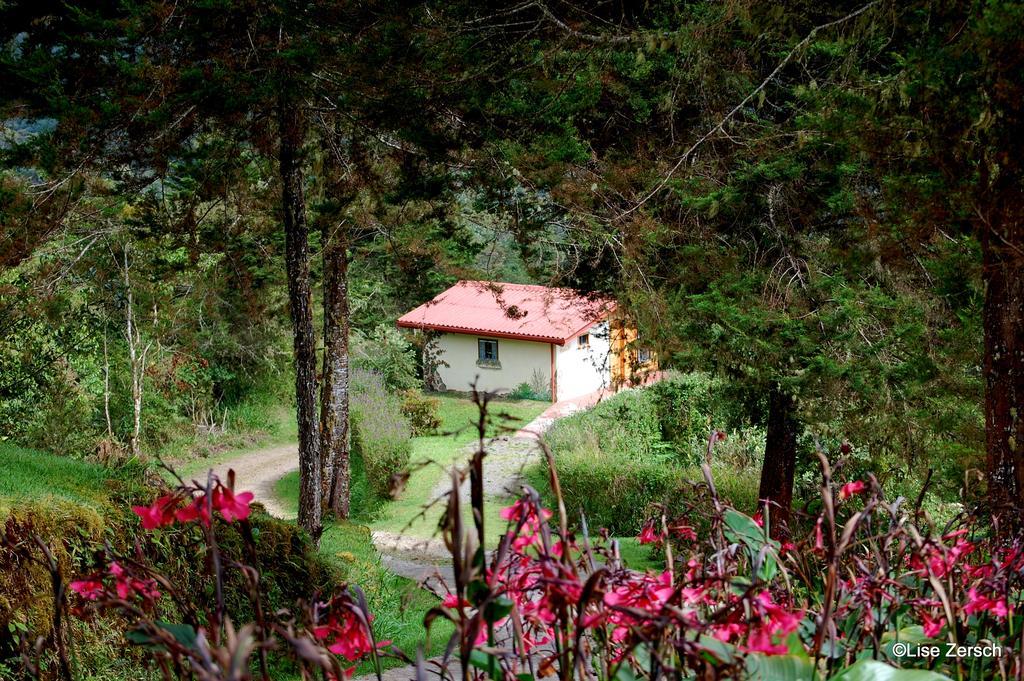 Bosque Del Tolomuco Hotel La Ese Buitenkant foto