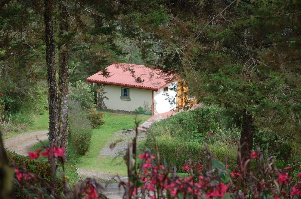 Bosque Del Tolomuco Hotel La Ese Buitenkant foto